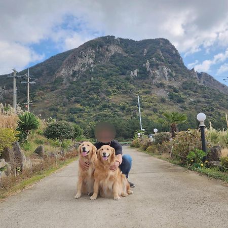 Jeju 542 Pension Seogwipo Luaran gambar