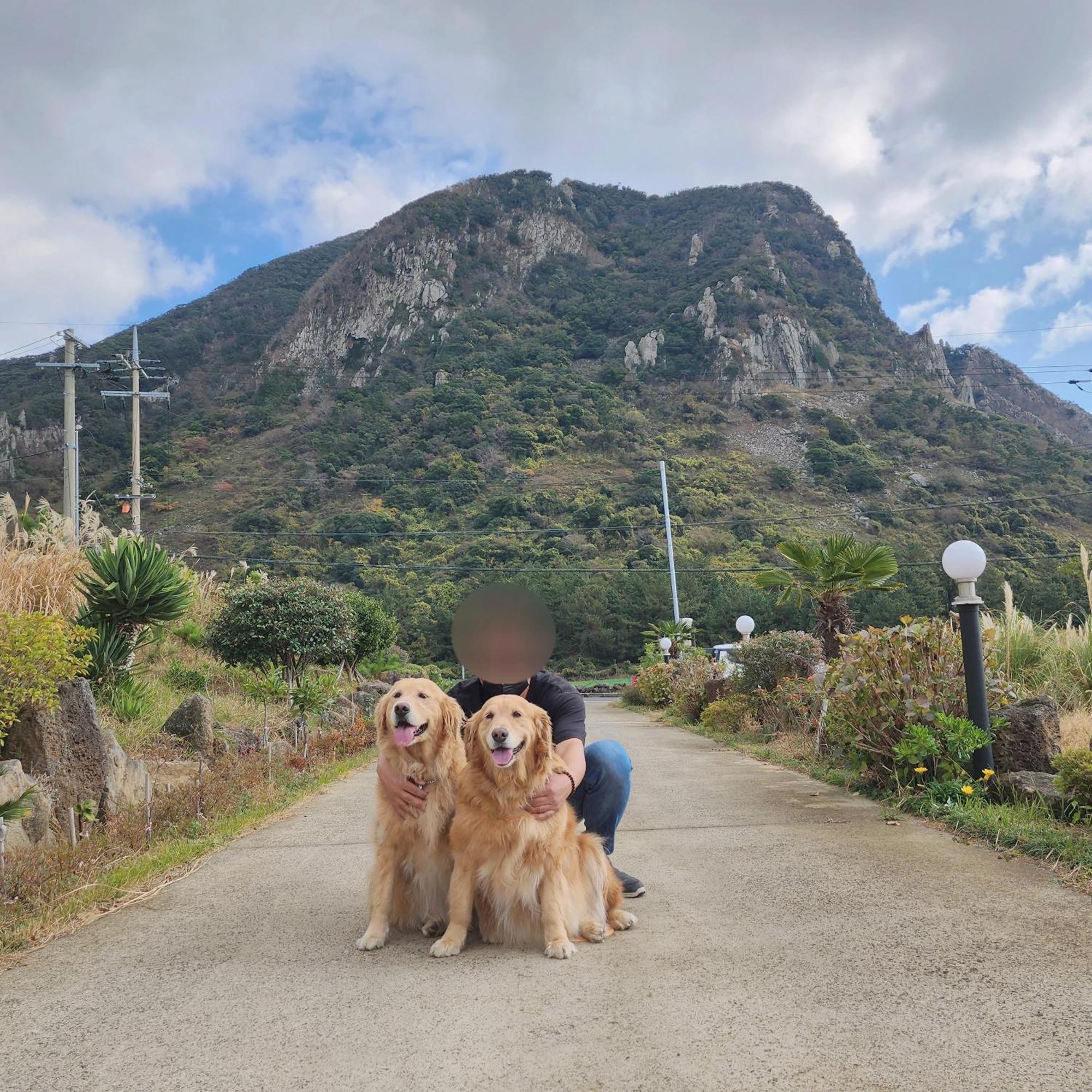 Jeju 542 Pension Seogwipo Luaran gambar